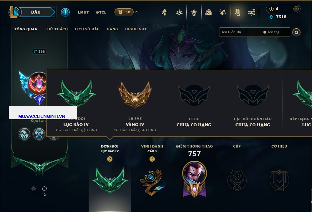 shoplmht-acc-159267